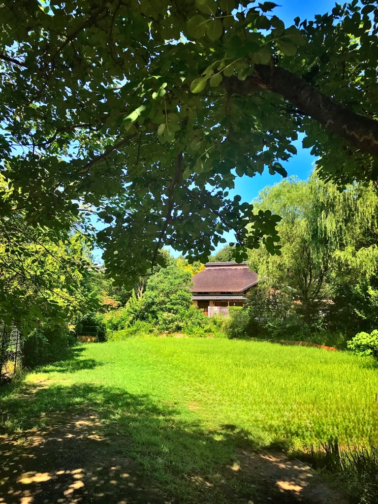 夏