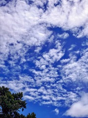 夏空