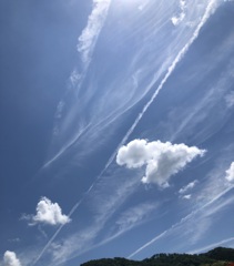 今日の空