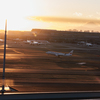 金色の羽田空港