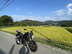 まだまだ暑い