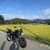 まだまだ暑い