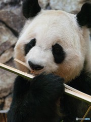 良浜のお食事
