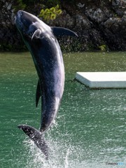 Jump