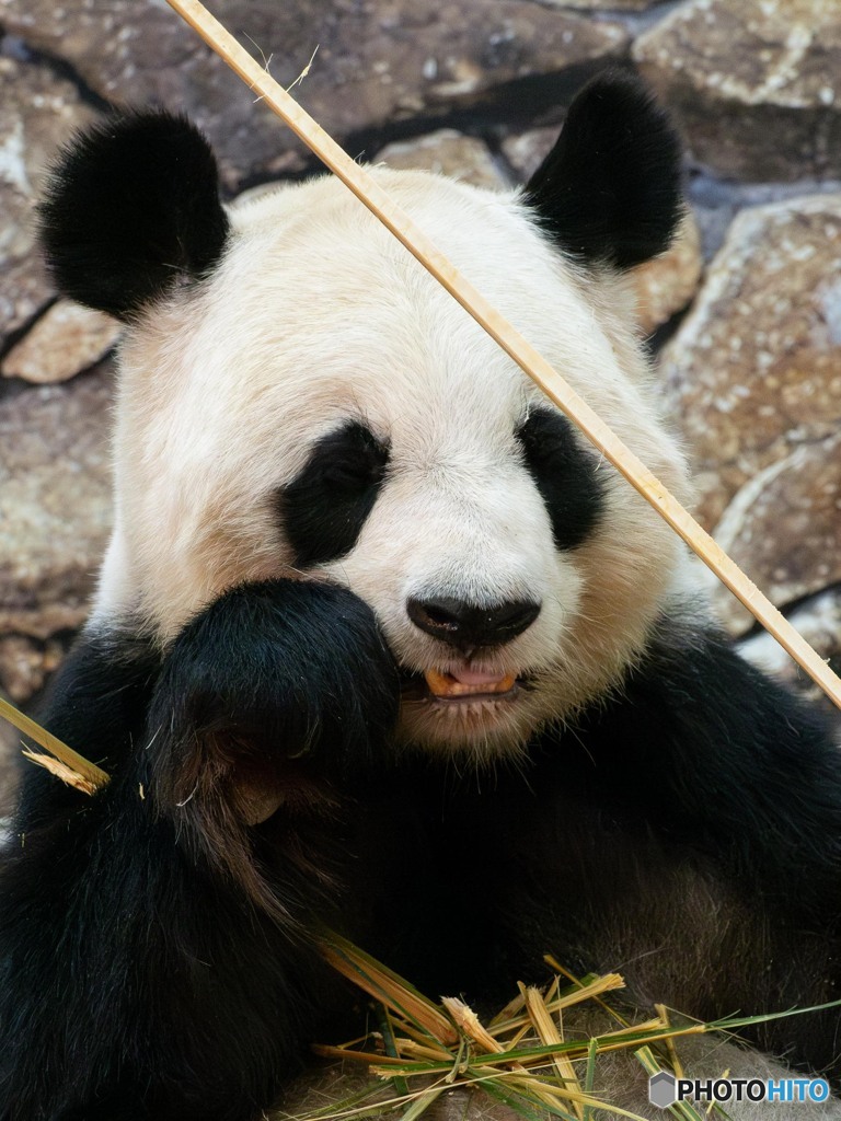 良浜のお食事