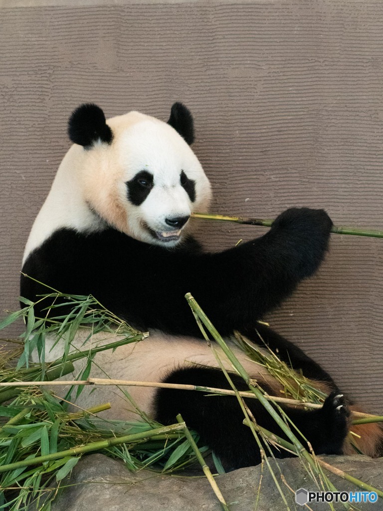 楓浜