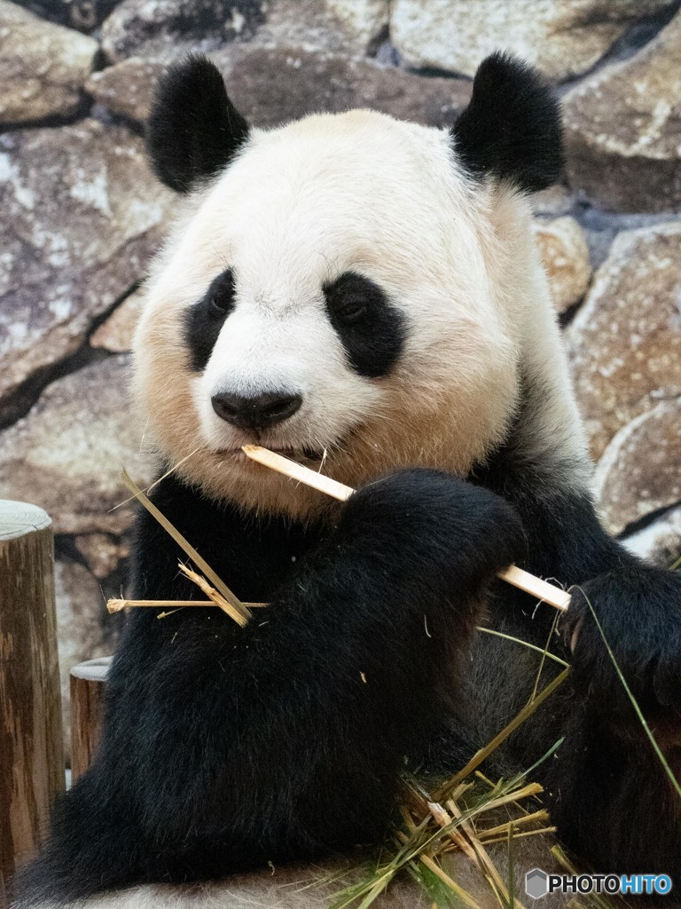 良浜のお食事