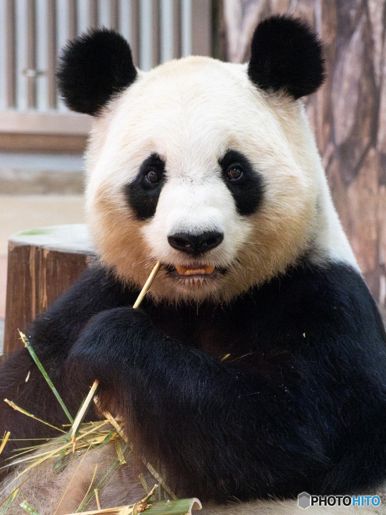 良浜のお食事
