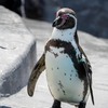 撮影のためのファンサ中
