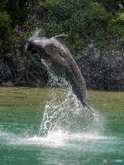 Jump
