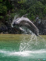 Jump