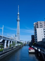 イチノッキ