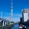 イチノッキ