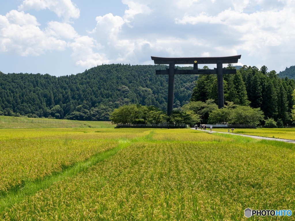 そびえる大鳥居