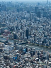 隅田川