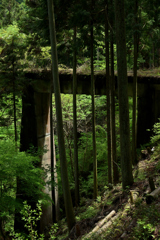 山に埋もれた廃線