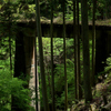 山に埋もれた廃線