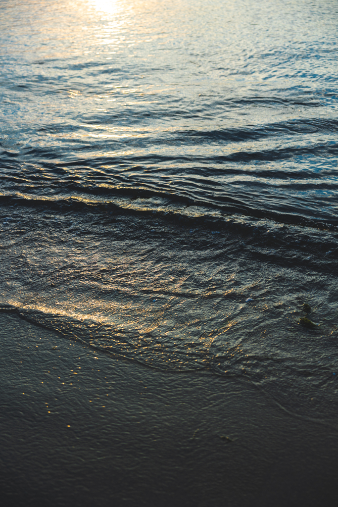 海