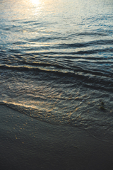 海