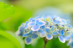A4370329-2F97-4B9D-93F9-0C08CA582CB6