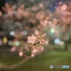 君想ふ