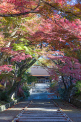 初秋の毘沙門堂