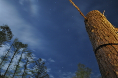 ななつ星キャンプ場