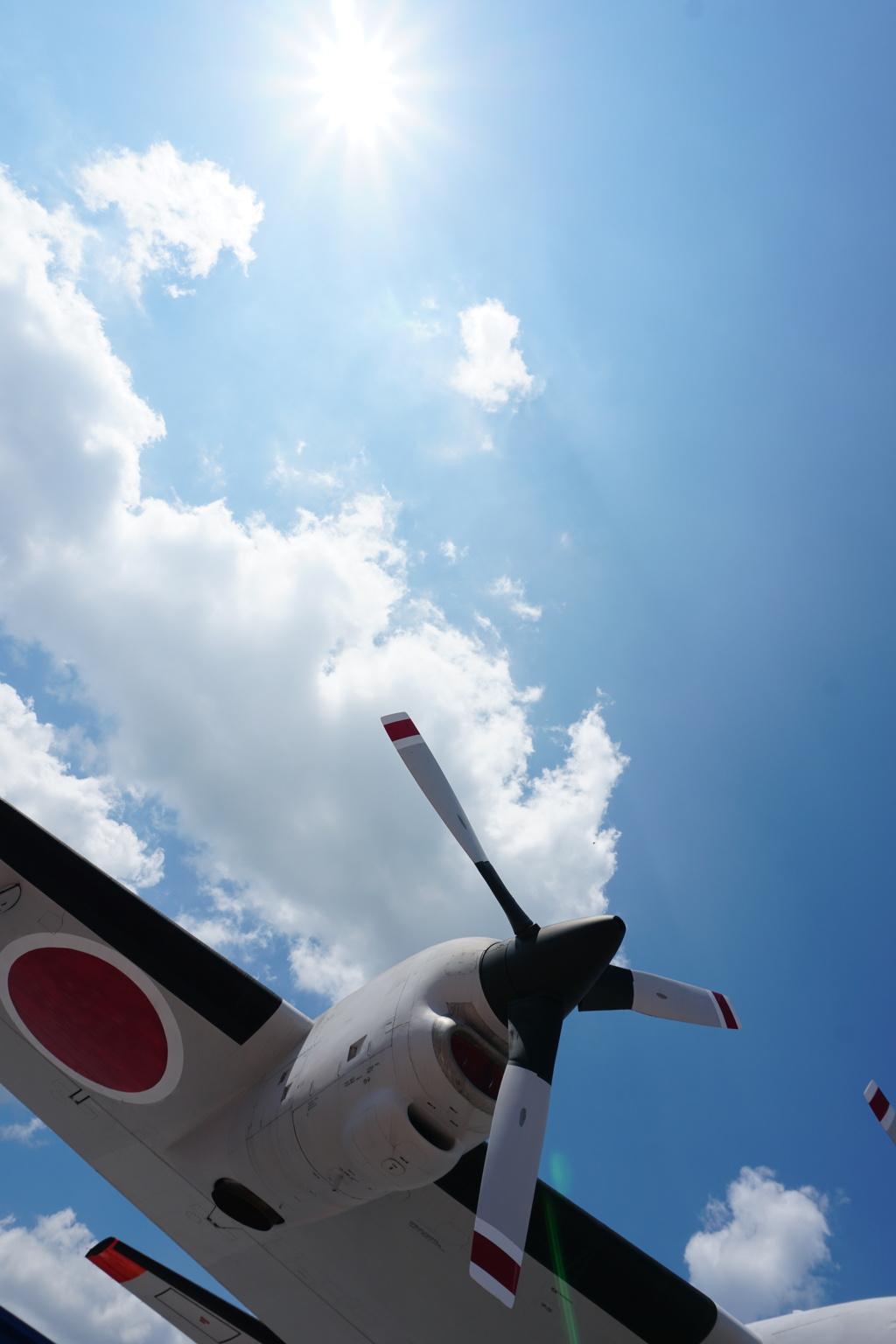 自衛隊機と夏雲