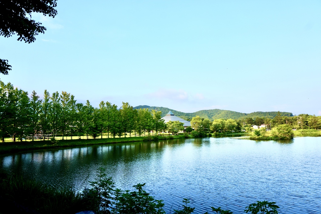 夏の涼池