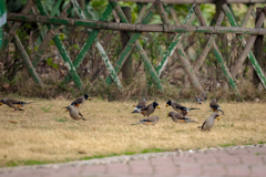 IMG_5639
