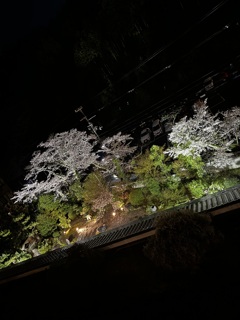 庭夜景