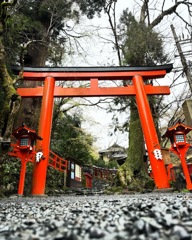 鳥居⛩️