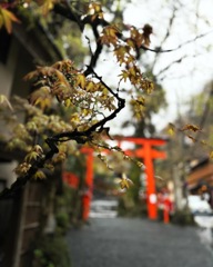 京都での一コマ