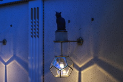 猫の照明