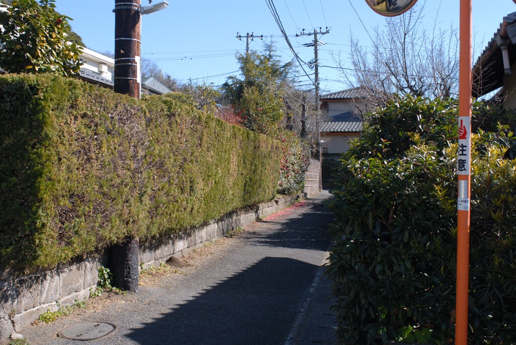 早春の路地