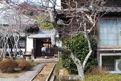 古寺の静かな春