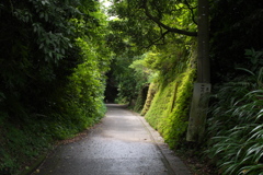 亀ヶ谷坂切通