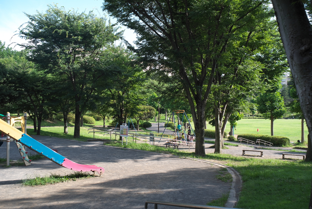夕方の公園１