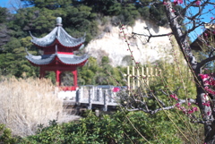 本牧の上海友好記念館