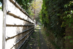 コントラスト