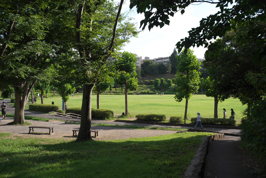 夕方の公園２