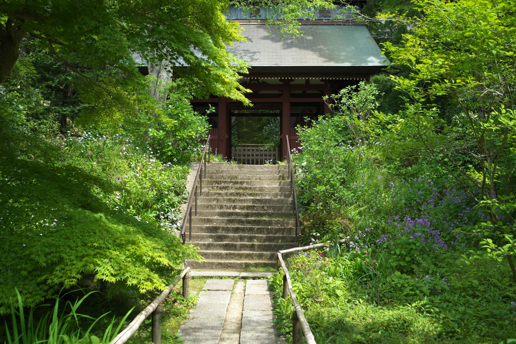 いつか来たことが