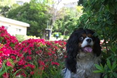 俺のことか～？