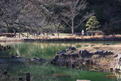 春浅い公園