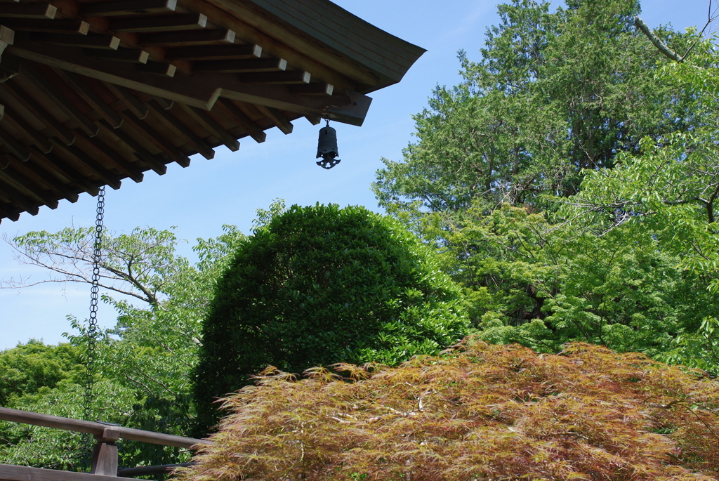 夏の寺