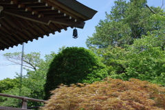 夏の寺