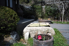一輪挿し
