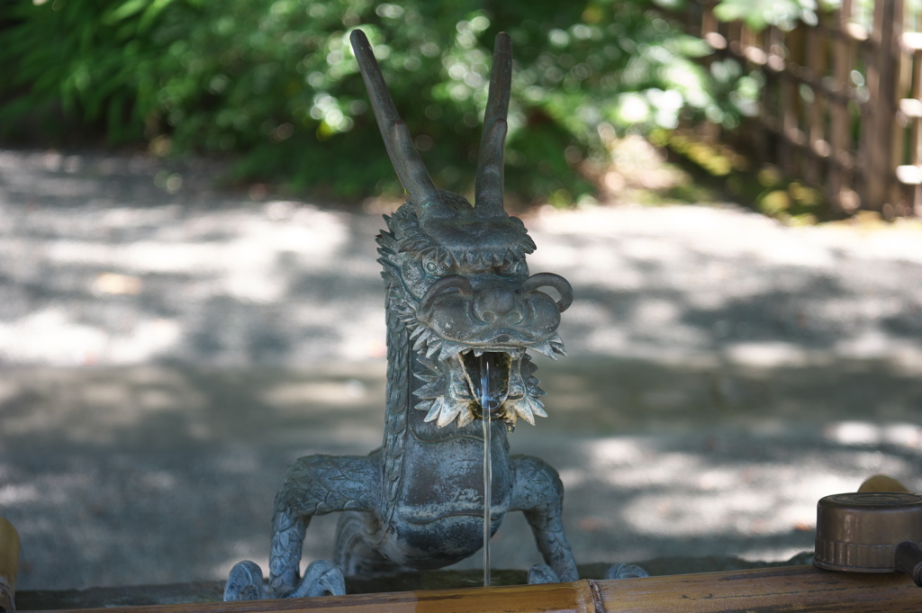 ユーモラスな水吐き龍