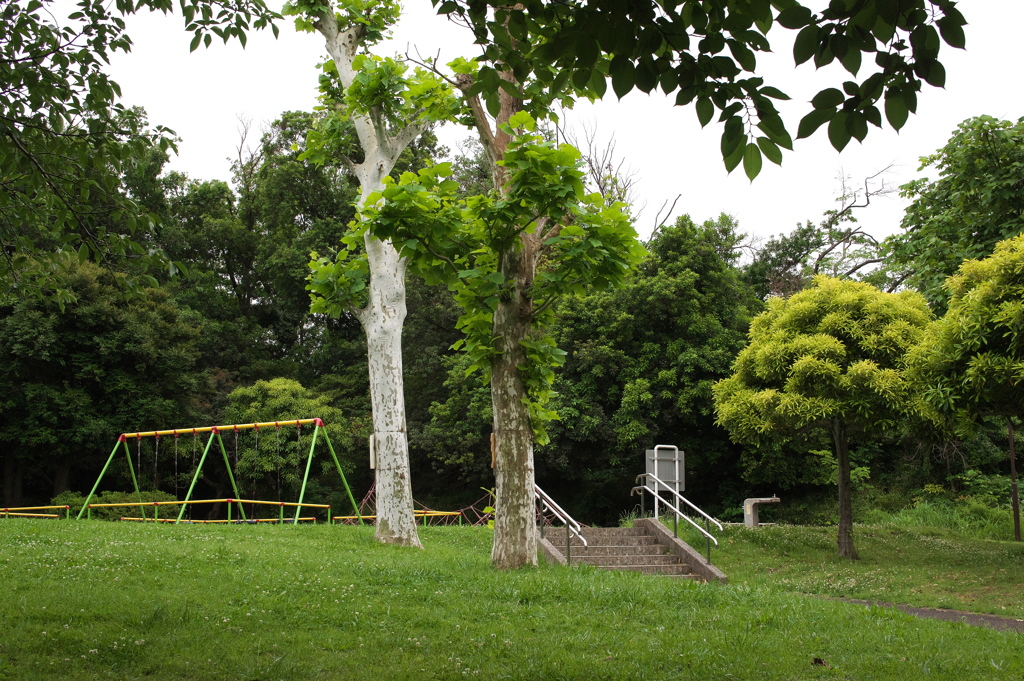 曇り空の公園