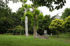 曇り空の公園